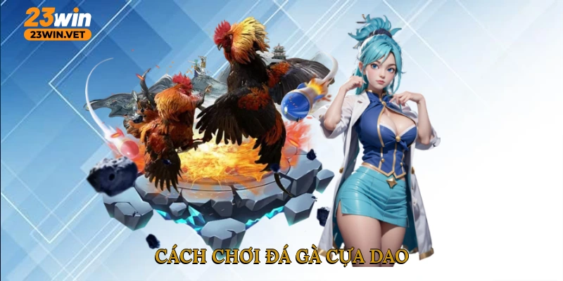 Cách chơi đá gà cựa dao