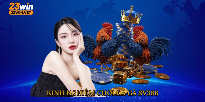 Kinh nghiệm chơi đá gà SV388