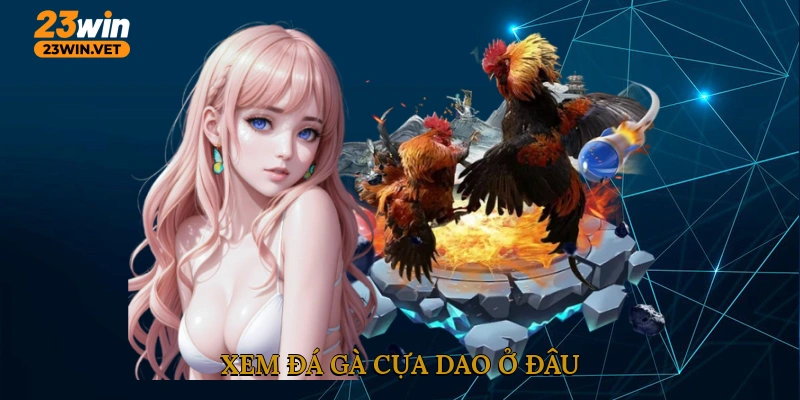 Xem đá gà cựa dao ở đâu